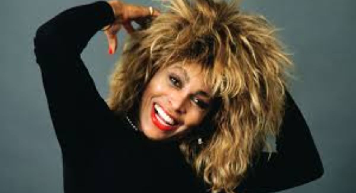 Tina Turner Net Worth